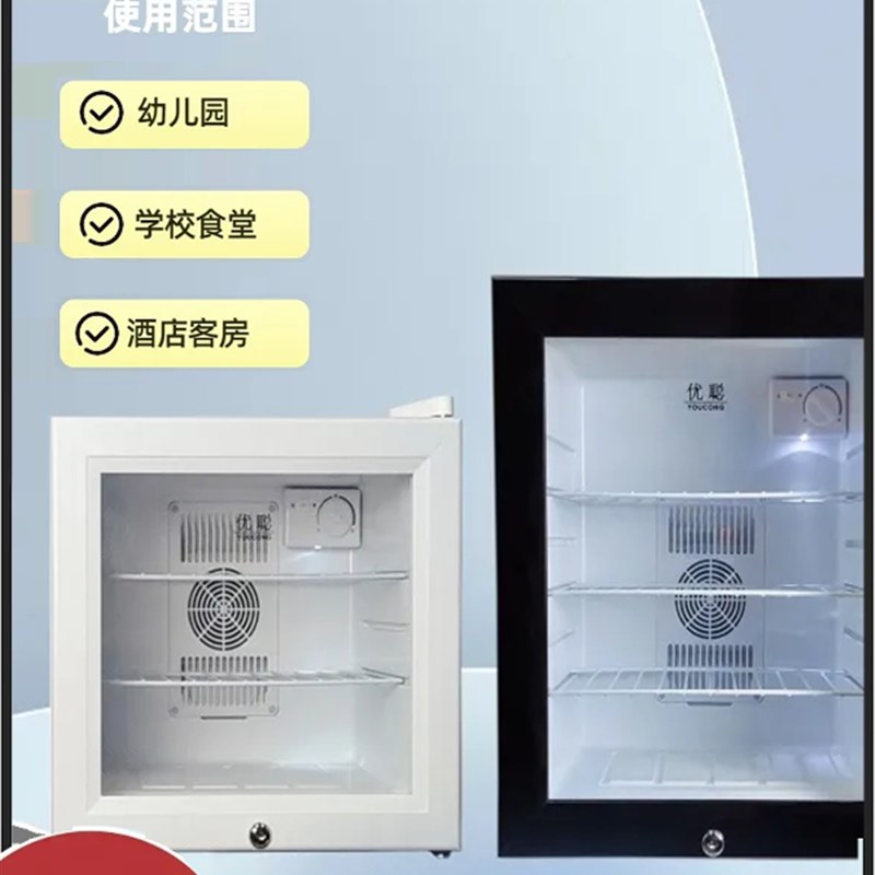 幼儿园食品留样柜专用柜双锁冷柜小冰箱小型酒店冷藏保鲜柜展示柜