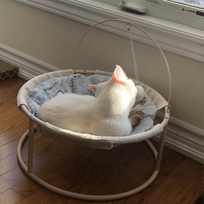 猫窝躺椅四季通用防潮夏季猫床吊床小猫幼猫宠物用品布偶英短蓝猫