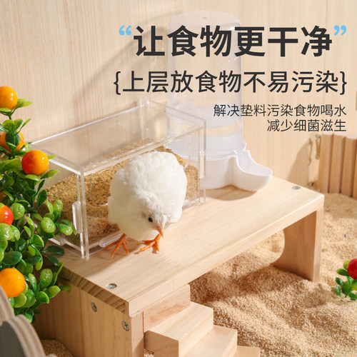 芦丁鸡喂食台宠物卢丁鸡饲养箱用品造景食盆水壶喝水平台置物架子