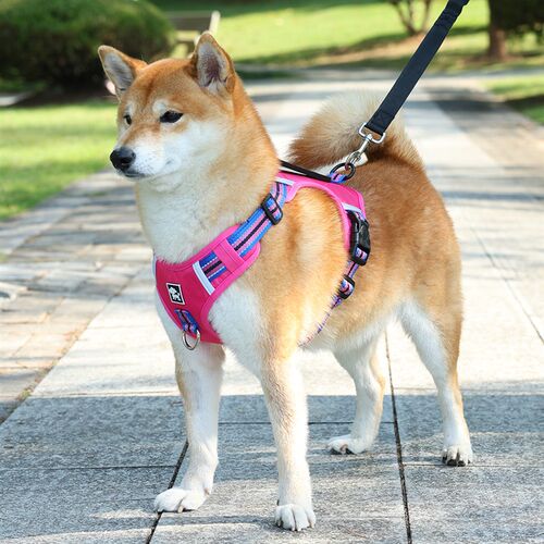 狗狗牵引绳中大型犬柴犬胸背带外出防挣脱背心式遛狗绳宠物狗链子
