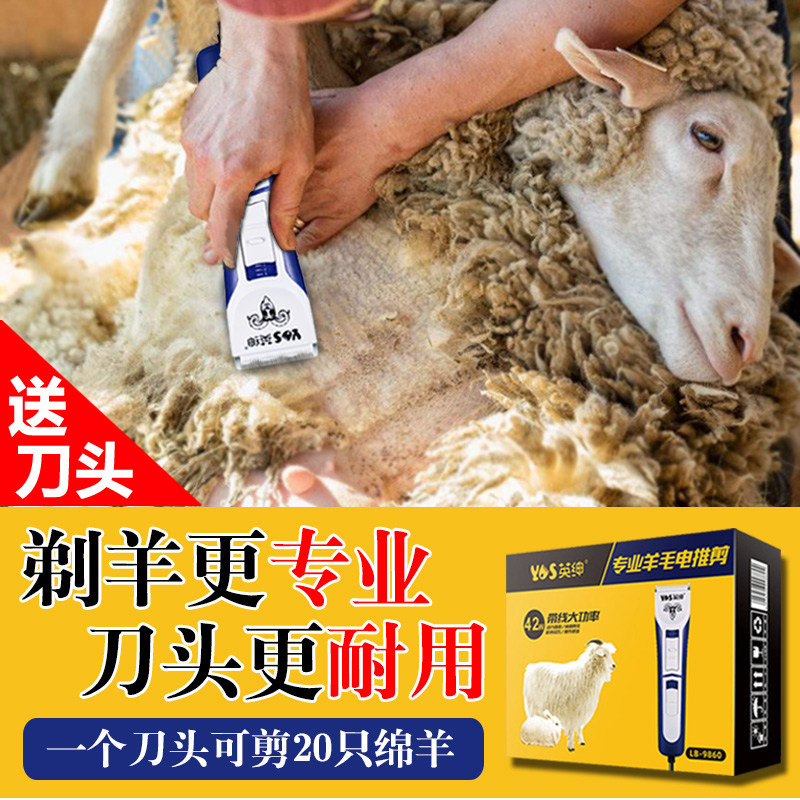 英绅专业绵羊电推剪大功率插电大型犬剪毛宠物剃毛器剪羊毛的推子