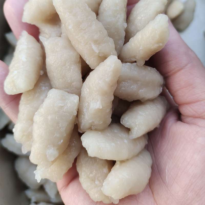 赣云牌自动刮片机福鼎肉片成型机瘦肉羹成型机瘦肉羹刮片机肉羹机
