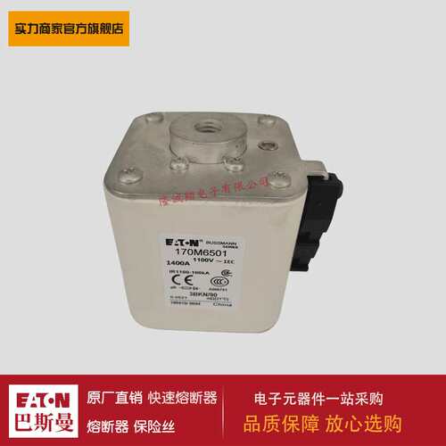 熔断器170M6595 170M6596 170M6597 170M6598 170M6599 170M5644