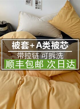 加厚保暖冬被棉被冬季被子带被套棉絮可拆洗春秋被芯单人学生宿舍