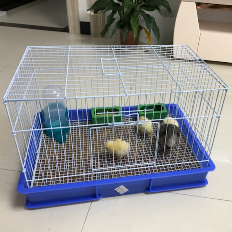 宠物鸡笼科尔鸭柯尔鸭鹌鹑鸽子加粗大号鹦鹉鸟笼观赏鸡折叠笼子
