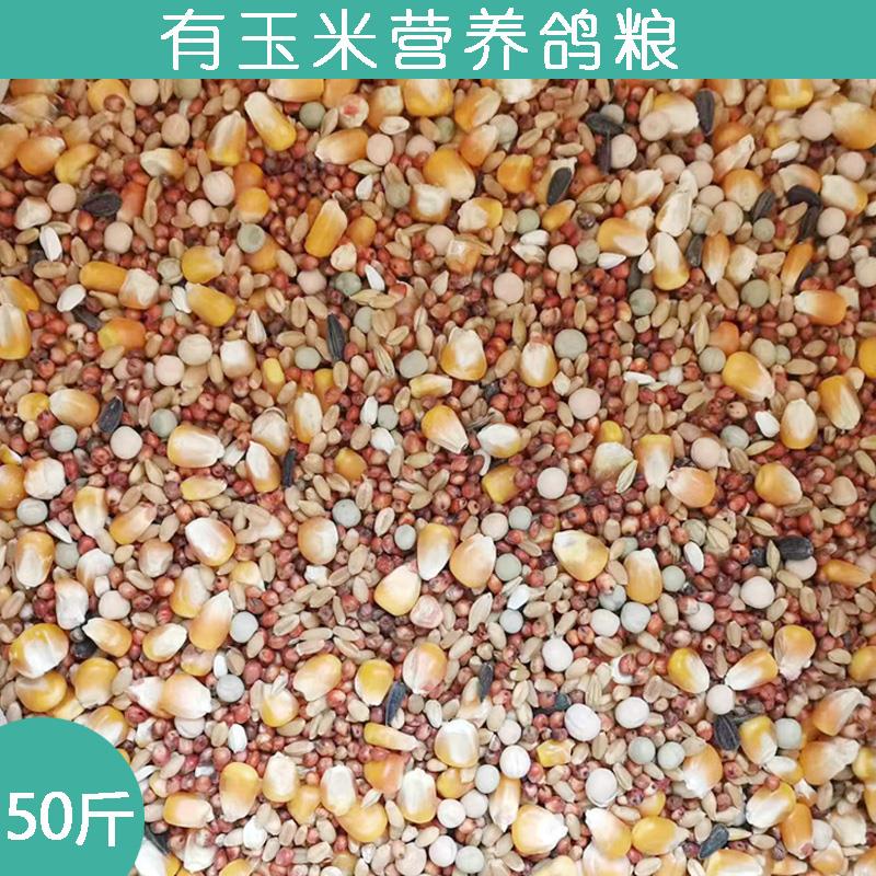 鸽粮有玉米营养赛飞饲料信观赏鸽子粮食豌豆高粱鸟食50斤包邮
