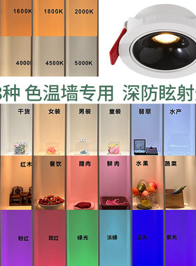 色温墙展厅专用嵌入式深防眩射灯筒灯洗墙灯展示柜超薄矮吊顶专用