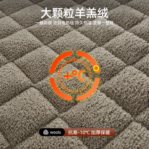 加厚羊羔绒床垫冬季家用卧室软垫宿舍单人加绒加厚褥子保暖床褥垫