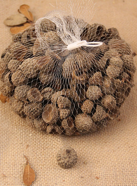 棉花壳子干花客厅创意装饰摆件手工香包材料DIY制作花瓣拍摄插花
