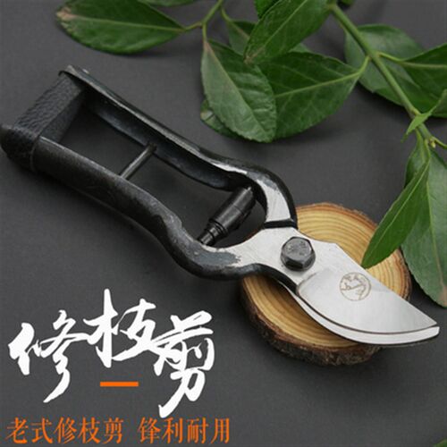 老式望儿山修枝剪果树树枝剪刀园艺省力树花盆栽粗枝剪果园花艺剪