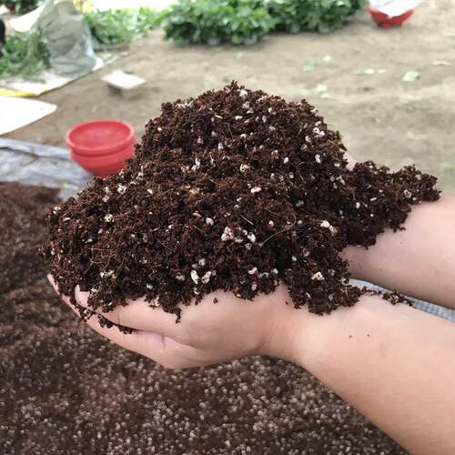 5斤通用营养土绿萝花土种植土花卉绿植泥土盆栽花泥绿萝土壤包邮