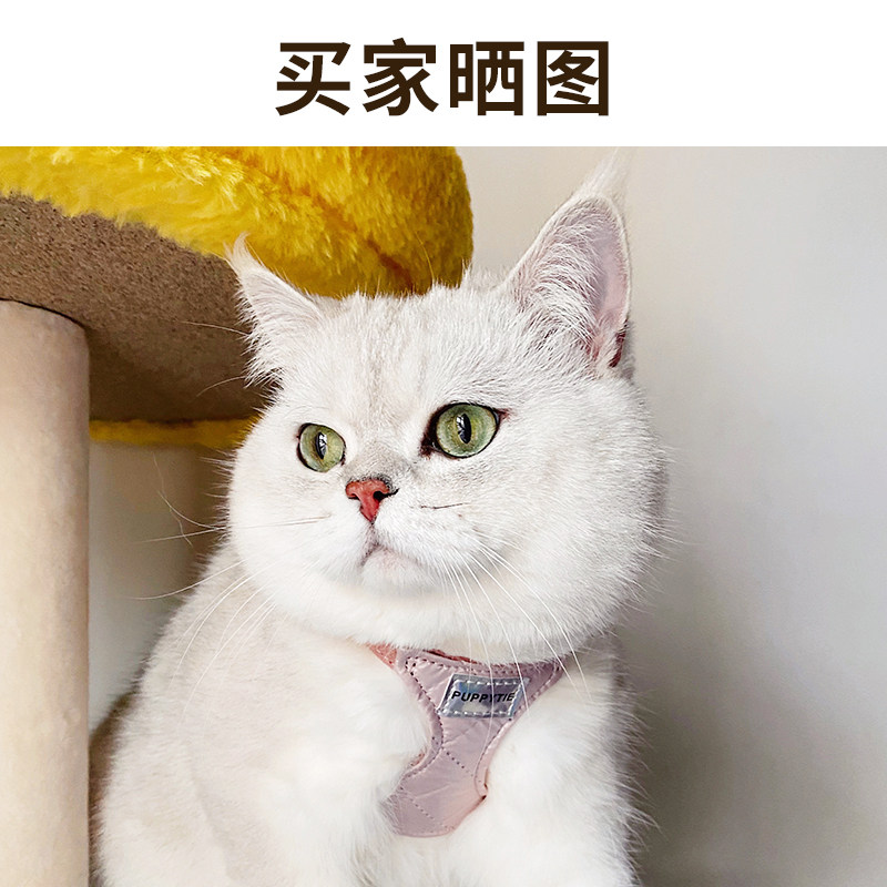 猫咪牵引绳背心式胸背带外出专用防挣脱溜猫绳子栓猫链子宠物用品