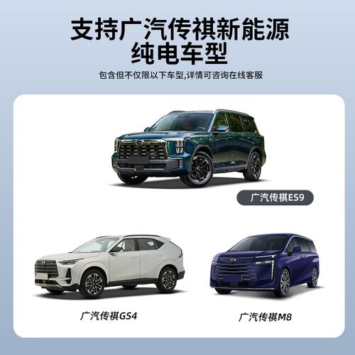 广汽传祺专用GS4/ES9/E8/E9/M8/GA5新能源家用7KW汽车充电桩枪器