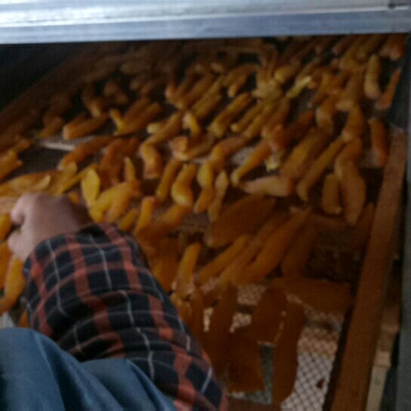 家用食用菌竹笋干鱼干 干柴火烤箱农产品花粉野生菌柴煤中药材烘