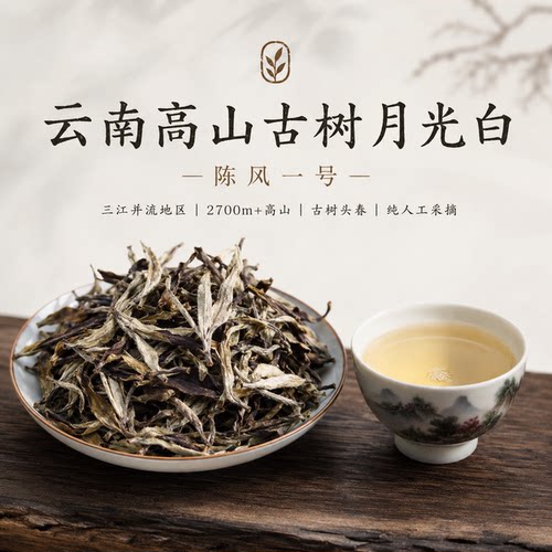 陈风一号云南特有珍稀高山陈年老白茶月光白茶叶人工采摘回味甘甜