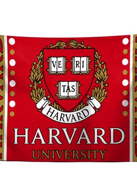 世界名校哈佛大学 剑桥大学 麻省理工学院校徽logo装饰宿舍墙挂布