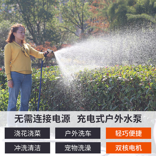 便携式抽水机充电水泵12v户外浇菜水泵家用洗车小型浇花抽水泵