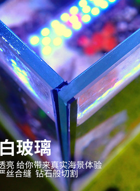 海水鱼缸 背滤低柜全套 小型海水缸珊瑚缸套装 水族箱新手缸侧滤