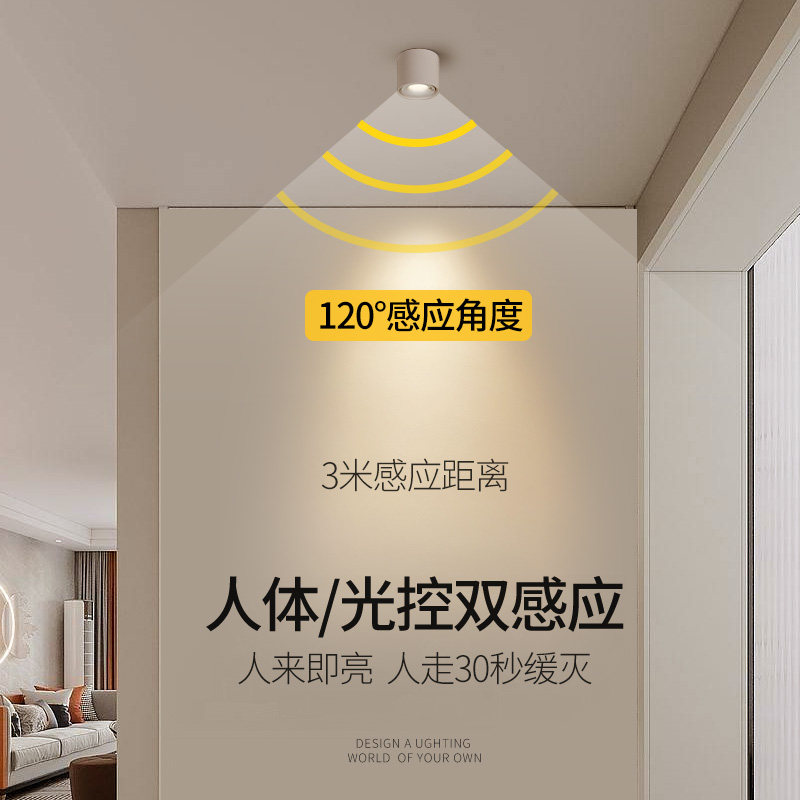 人体感应明装射灯led天花灯阳台走廊入户玄关光感应光控智能筒灯