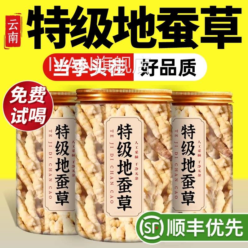 特新鲜地蚕草野生中药材宝塔菜白虫草云南干货正品官方旗级舰店zz