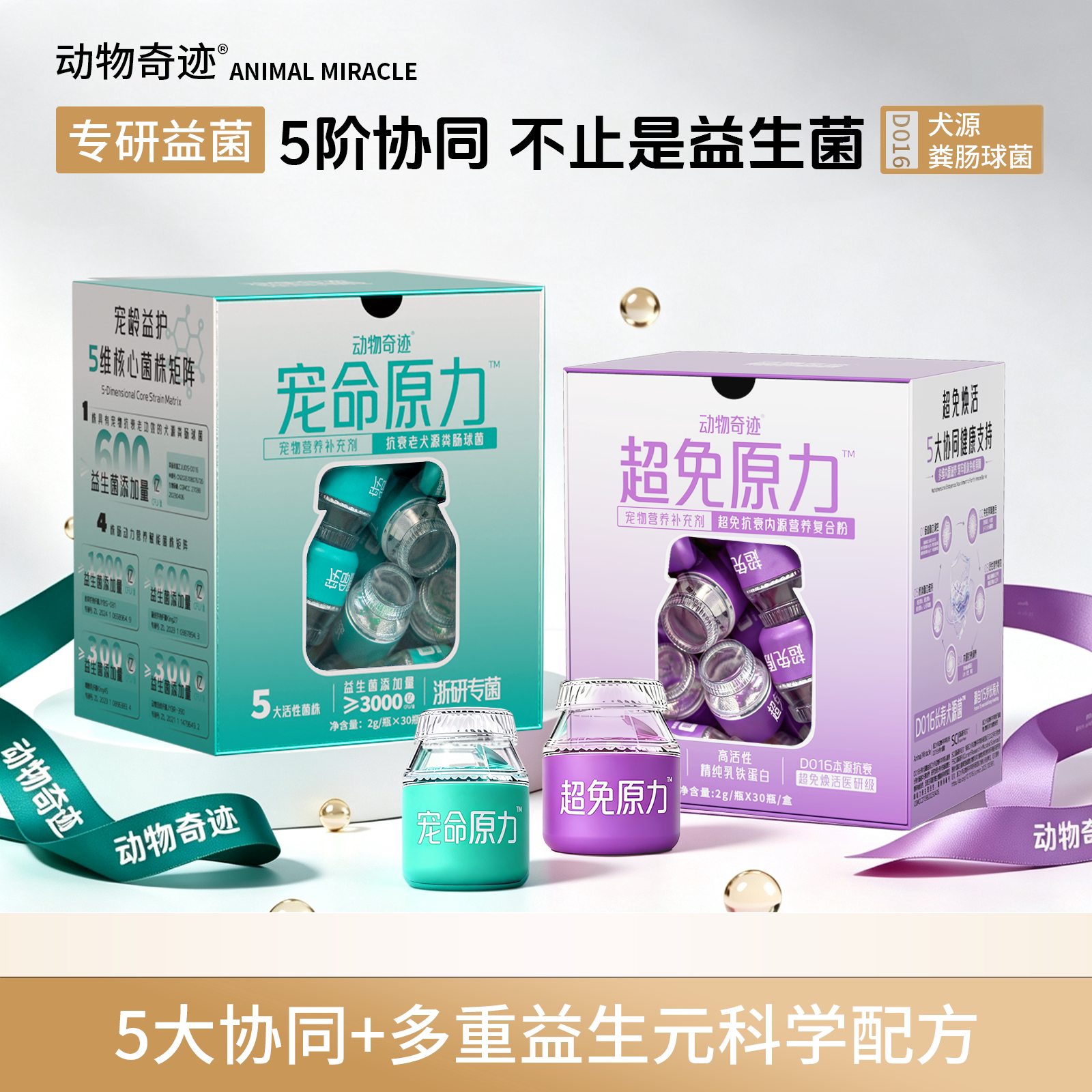 动物奇迹丨宠命原力+超免原力组合 老年犬抗衰强免疫犬源粪肠球菌