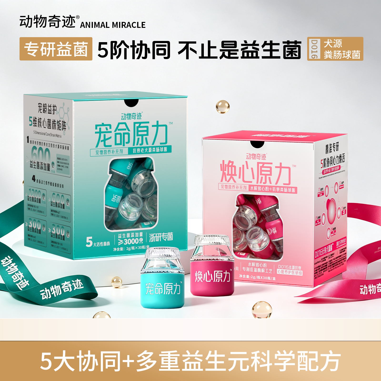动物奇迹丨宠命原力+焕心原力组合 老年犬抗衰护心肺犬源粪肠球菌