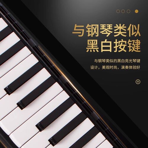 奇美黑霸王口风琴37键32键学生用教学儿童初学者专业演奏级口风琴