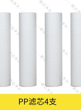 碧乐净水器滤芯UF300-05超滤净水器家用厨房五级自来水过滤器直饮