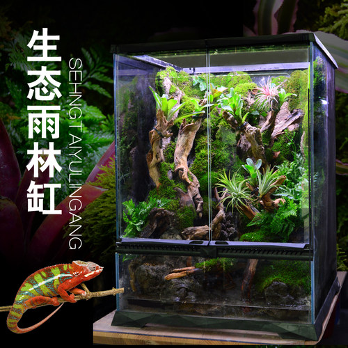 独立式玻璃雨林缸适用于蜥蜴热带雨林植物造景缸 房间书房用生态
