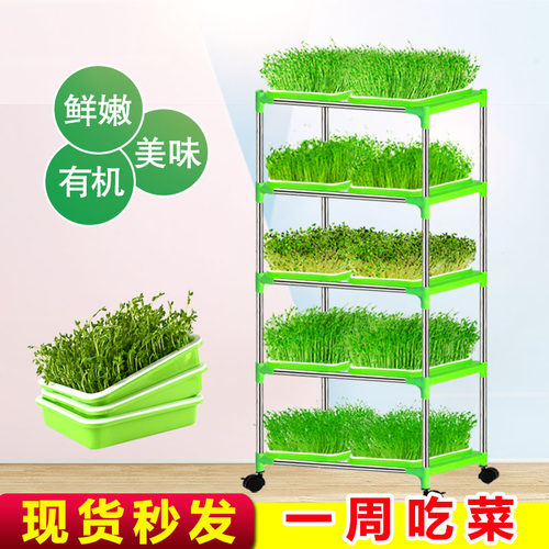 豆芽发芽盆水培蔬菜豌豆芽苗菜种植设备家用无土栽培神器育苗托盘