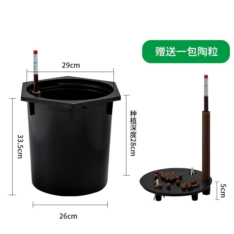 高级北欧简约发财树客厅落地大花盆创意懒人自吸水底盆存水带轮子