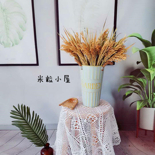 天然干花真水稻穗家居摆设艺术干花会展拍摄道具稻穗麦穗干花