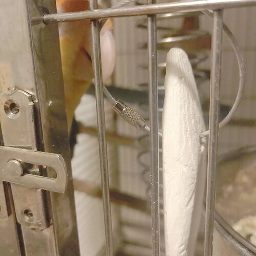 墨鱼骨大块虎玄凤皮具牡丹鹦鹉鸟用补钙木鱼骨磨牙吊串啃咬玩用品