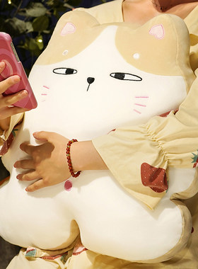 猫咪车用抱枕被子两用车载办公室枕头午睡空调毯子二合一汽车靠枕