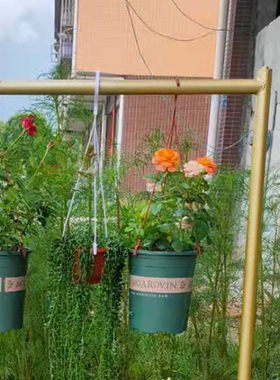 吊篮花盘悬挂落地式花店绿萝盆栽花架壁挂阳台家用装饰多层置物架