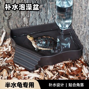 黄缘龟专用泡澡水盆半水龟陆龟保湿喂水盆食盆爬宠饲养箱造景装饰