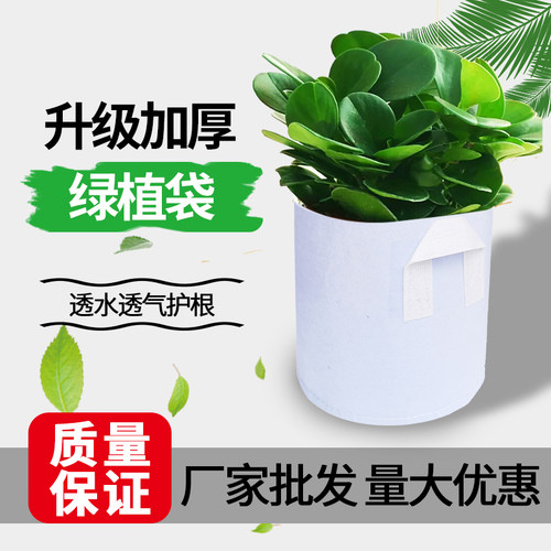 特大无纺布美植袋 加厚种树育苗袋 双提手阳台种菜花盆