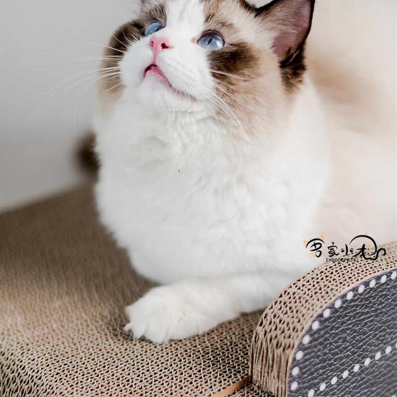 贵妃椅猫碗猫抓板自嗨磨爪器耐磨瓦楞网红猫窝猫房子逗猫大号猫咪