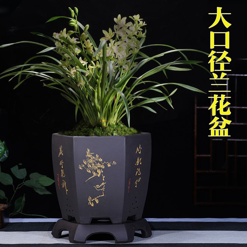 精品紫砂花盆大口径兰花盆君子兰盆景盆室内大号兰花育苗陶瓷花盆