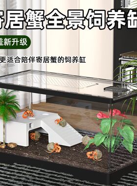 螃蟹缸造景小别墅饲养箱寄居蟹小宠物亚克力带爬台躲避乌龟饲养缸
