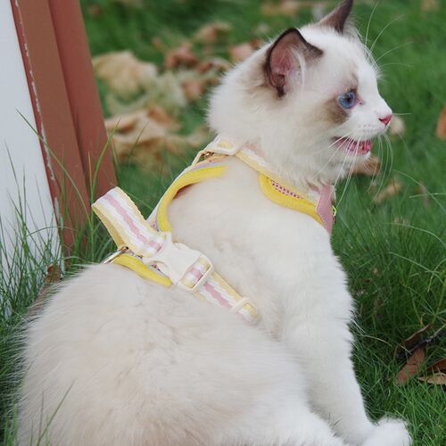 夏季猫咪牵引绳防挣脱外出专用背心式溜猫绳子胸背带可调节遛猫绳