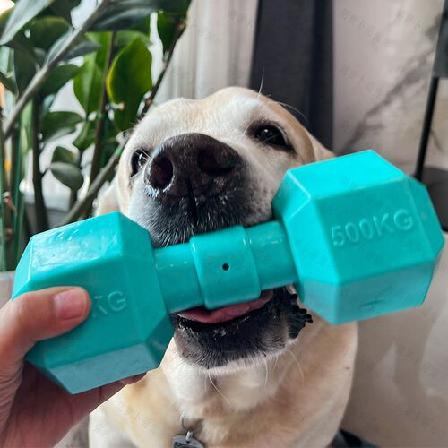 狗玩具磨牙耐咬橡胶哑铃金毛边牧柯基小中大型犬自嗨解闷宠物用品