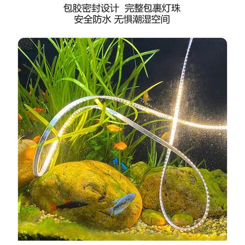 水下泡水工程款24Vled灯带条灌胶水池户外防水超高亮滴胶泳池