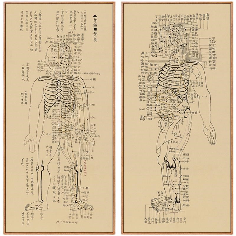 网红针灸铜装人穴位图人体经络全身经脉身体背古部饰画中医馆挂画