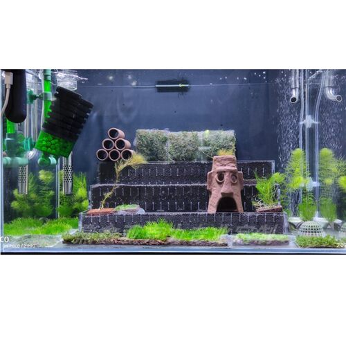 观赏造景缸搭配草缸梯田造景盒 亚克力订制淡水鱼用水草造景缸