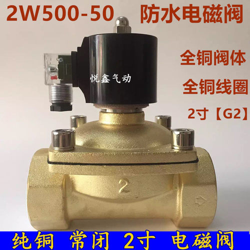 2W50050 防水电磁阀水阀 DN50防水电磁阀 220V 24V 全铜电磁阀