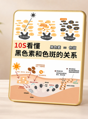 美容院10秒看懂黑色素色斑关系摆台皮肤管理门店装饰摆件