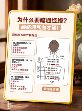 中医养生馆背部经络对应脏腑知识摆件疏通经络科普装饰展示牌