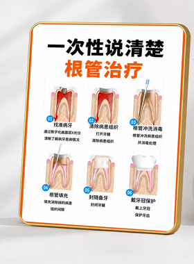 牙科门诊根管治疗科普装饰摆件口腔诊所接诊区宣传展示摆台