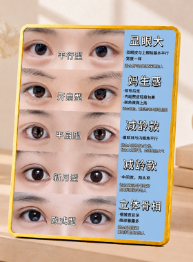 双眼皮类型科普展示摆台医美整形美容院桌面装饰摆件